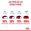 Royal Canin FHN Kitten Sterilised comida húmeda para gatos en salsa, pack de 12 x 85 g