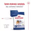 Royal Canin Maxi Adult pienso seco para perros, 15 kg