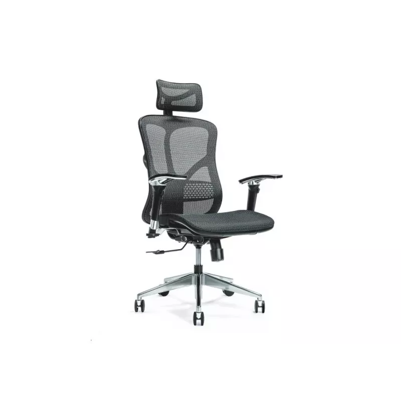Silla de oficina ergonómica ERGO 500 negra