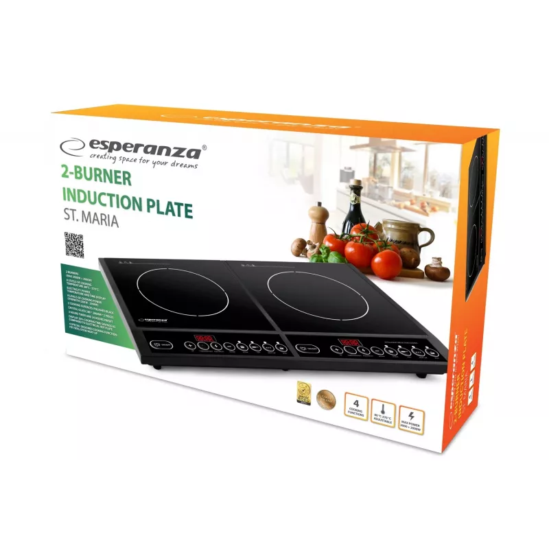 Esperanza EKH008 placa de cocina, negra, encimera, placa de inducción por zonas, 2 zonas