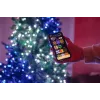 TWINKLY Strings 250 Special Edition (TWS250SPP-BEU) Luces de árbol de Navidad inteligentes 250 LED RGB+W 20 m