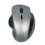 Ratón óptico Gembird MUSW-6B-02-BG USB