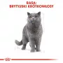 Comida húmeda para gatos Royal Canin British Shorthair Adult bolsa 85 g, aves, ROYAL CANIN Feline Breed Nutrition