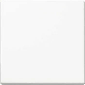 JUNG A1700WW A1700WW Tecla de control Standard (A1700WW)