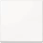 JUNG A1700WW A1700WW Tecla de control Standard (A1700WW)