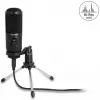 Delock - Micrófono - USB - Negro (66832)