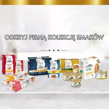 Purina Nestle Gourmet Gold - salmón y pollo - comida húmeda para gatos - 85 g