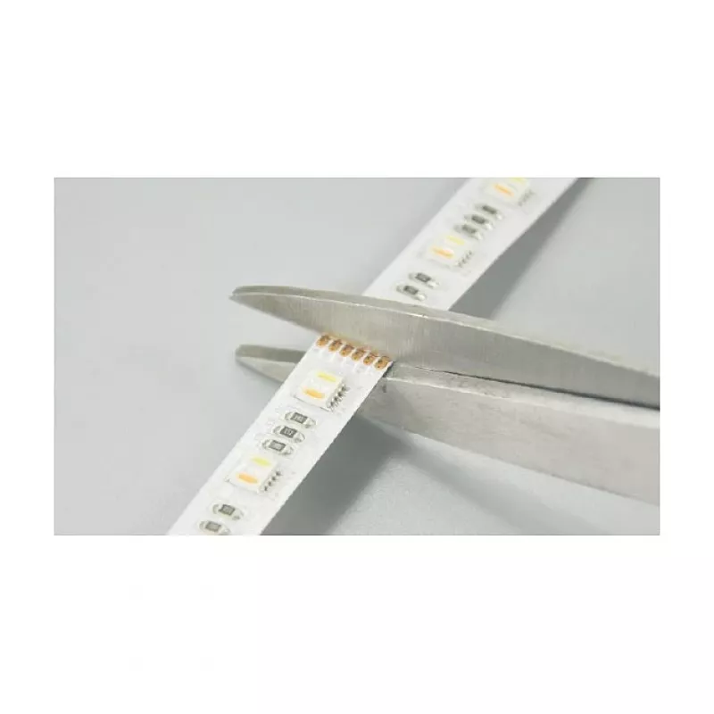 Synergy 21 LED Flex Strip 5050 - 84 RGB DC24V + RGB-WW (RGB-CCT) un chip HD IP20