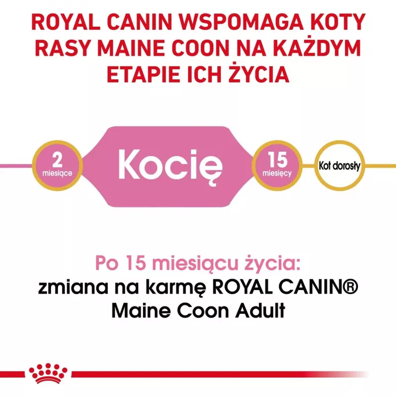 Pienso seco para gatos Royal Canin Maine Coon Kitten 400 g — aves, 36% proteina, 23% grasa