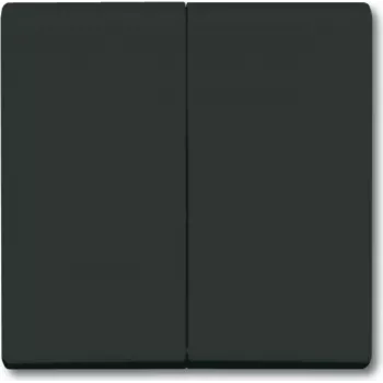 BUSCH JAEGER 2105-35 - Negro - Busch-Jaeger - 70 mm - 70 mm - 1,3 cm - 1 unidad