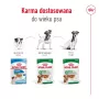 Comida húmeda para perros Royal Canin Mini Adult bolsa 85 g, aves, para razas pequeñas 5–10 kg, pack 12 × 85 g