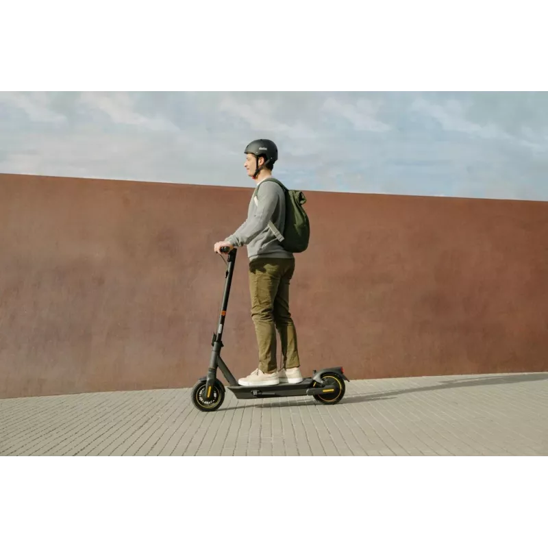 Patinete clásico Ninebot by Segway KickScooter MAX G2 D
