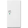 Busch-Jaeger 6220-0-0070 Placa embellecedora para soporte y caja de sensor blanco (2CKA006220A0070)
