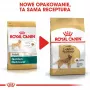 ROYAL CANIN BHN Golden Retriever pienso seco para perros - 12 kg
