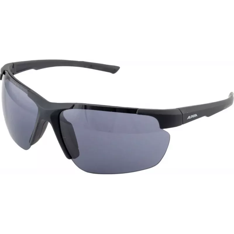 Gafas de sol ALPINA DEFEY HR color negro mate lente negra Cat. 3