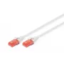 Cable de conexión Digitus CAT 6 U/UTP LSZH 0,25 m