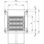 SCHROFF bandeja de rack extraíble 19'' - 19\FA AUS 2HE C=500 ROT 7035 (22130352)