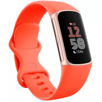 Fitbit Charge 6 - Champagne Gold Aluminio - Monitor de actividad con Infinity Band - Silicona - color coral - NFC, Bluetooth - 37.64 g (40-56-7910)