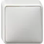 GIRA 010613 interruptor eléctrico blanco (010613)
