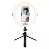 Agfa Arl11 Ring Light anillo LED 120 Vlog + trípode + mando a distancia