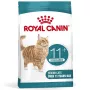 Royal Canin Ageing Sterilised 11+ comida seca para gatos 4 kg