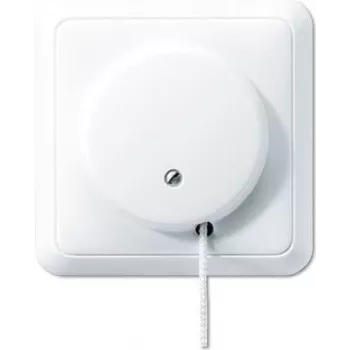 JUNG 5506ZUWW - Interruptor de cadena - Cableado - Blanco - Duroplast - 250 V - 10 A