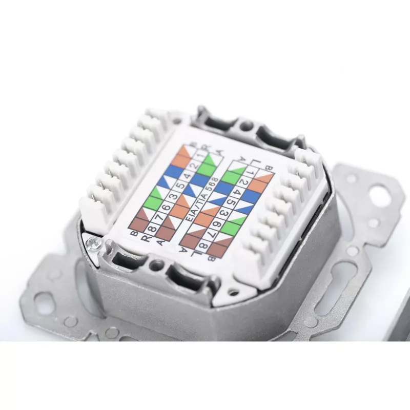 Toma de red Digitus DN-9007-1 CAT 6A Clase EA, 2x RJ45, apantallada, empotrable, blanca