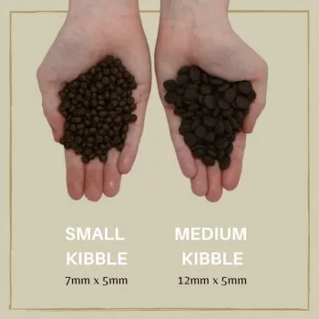 Pienso para perros Eden Puppy Cuisine 80/20 croqueta pequeña 6 kg — para cachorros, salmón, 40 % proteína, 17,5 % grasa
