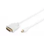 Cable DisplayPort 1.1a Mini DP-DVI tipo A macho-macho 2,0 m
