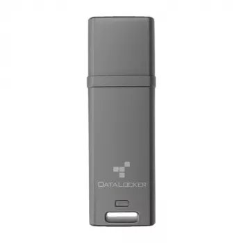 DataLocker 4 GB DL GO 256 bits USB 3.2 Gen 1 - Memoria flash - surtido (DLGO-004)