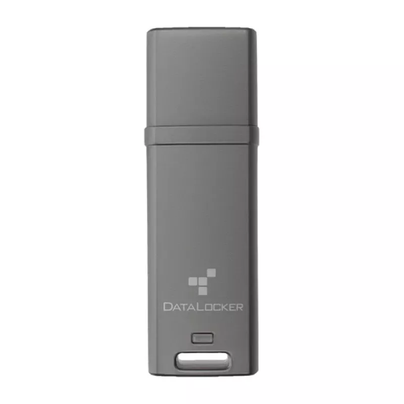 DataLocker DL GO DLGO-004 memoria USB de 4 GB, AES XTS de 256 bits, FIPS 197, MFA, surtido