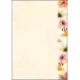 Sigel DP788 Flowerstyle papel con motivos, A4, 90 g/m2, 50 hojas