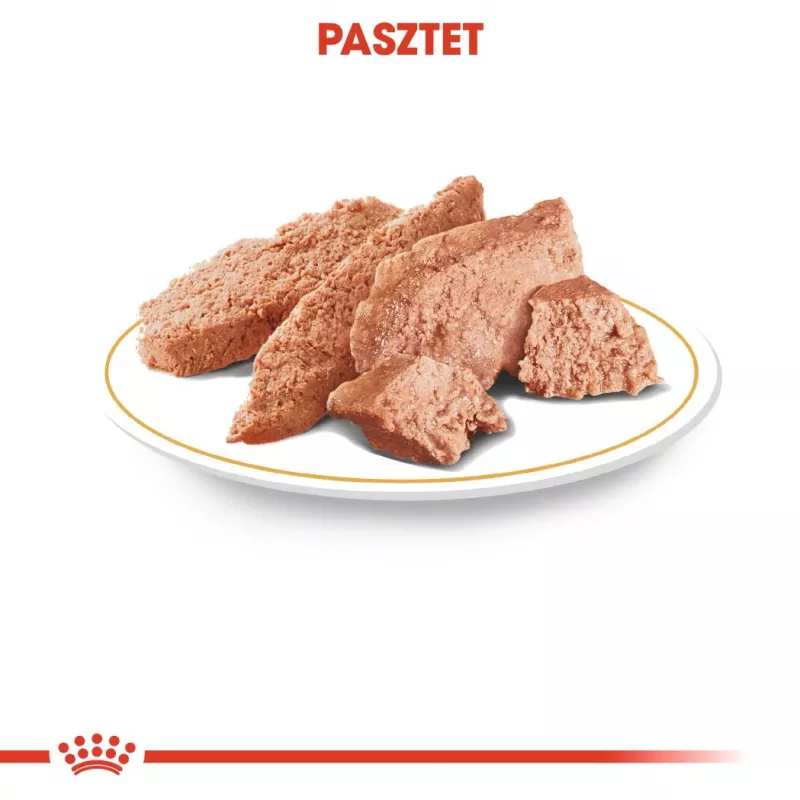 Royal Canin Chihuahua comida para perros, pack de 12 x 85 g