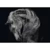 Puzzle Schmidt Spiele Ashley Rader Power Horse — 1000 piezas, MPN 58543