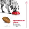 Royal Canin Maxi Adult pienso seco para perros, 15 kg