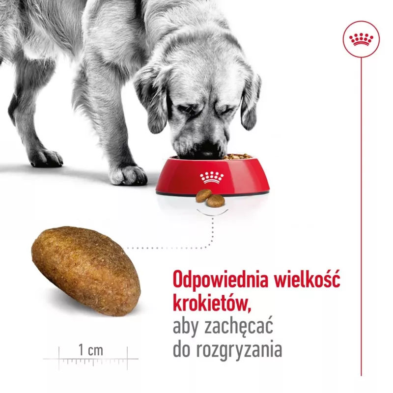 Royal Canin Maxi Adult pienso seco para perros, 15 kg