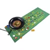 Set Deluxe - Ruleta 25 cm, juego de mesa