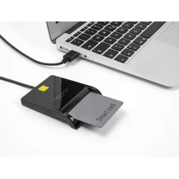 Lector de tarjetas inteligentes DeLOCK 91724 USB Type-A negro