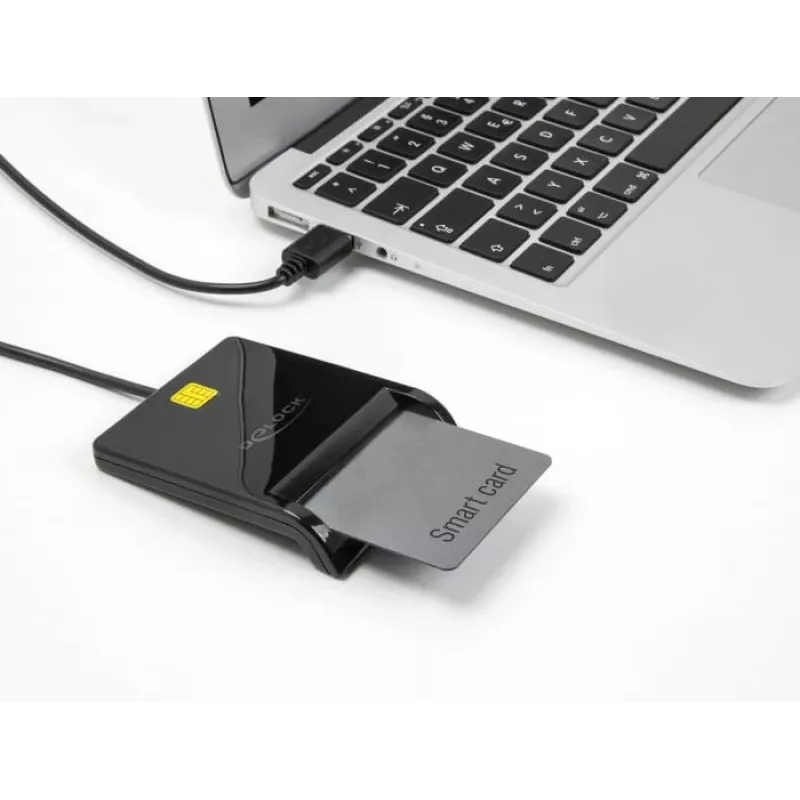 Lector de tarjetas inteligentes DeLOCK 91724 USB Type-A negro