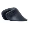 Ratón Gembird MUSW-ERGO-03 hogar diestro RF inalámbrico óptico 1600 DPI