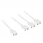 Cable divisor Kolink ARGB 1 a 3 PGW-AC-KOL-156 30 cm blanco