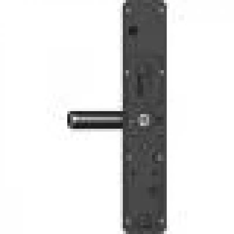 Cerradura inteligente de puerta con huella dactilar EZVIZ DL05