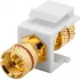 Goobay 79484 - Plano - Rojo - Blanco - Banana - Conector hembra - Oro - Plástico (79484)