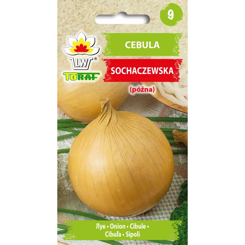 Cebolla Sochaczew Toraf semillas de hortalizas, paquete de 5 g
