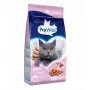 PREVITAL Senior con salmón comida seca para gatos, 1,4 kg