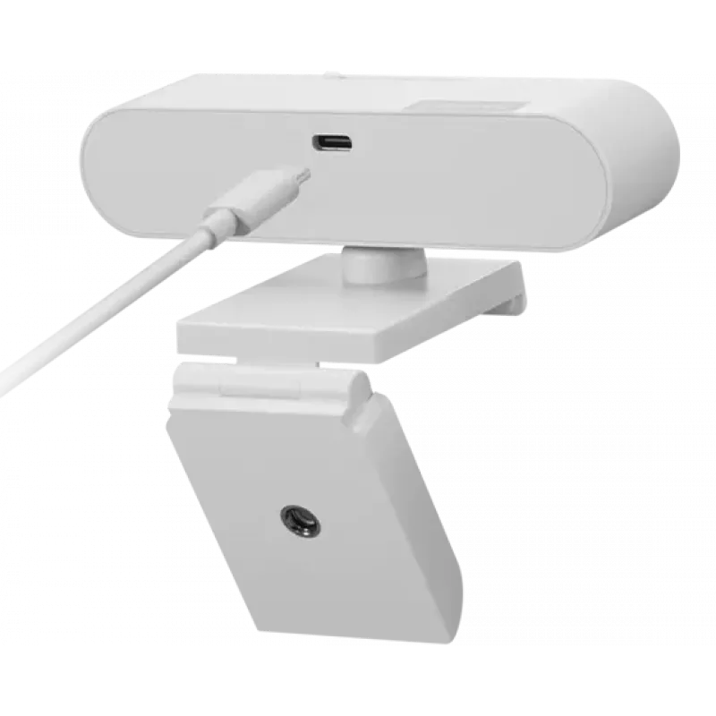 Lenovo GXC1D66063 Webcam 2,8 MP 1920 x 1080 píxeles USB-C Gris