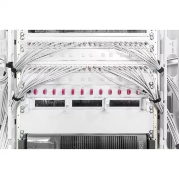 Placa ciega Digitus DN-19 BPN-02