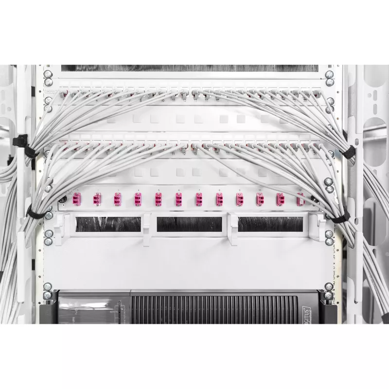 Placa ciega Digitus DN-19 BPN-02