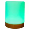 Luz ambiental RealPower 200 RGB con mando a distancia