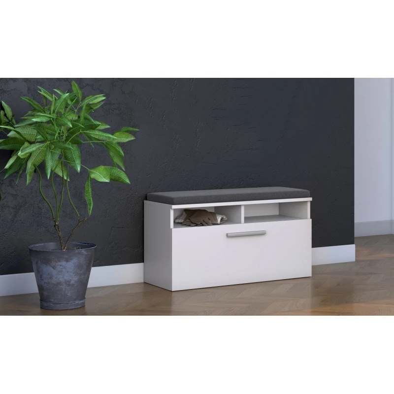 Complemento para zapatero e shop RIVA SZAFKA BIEL — cerrado, blanco, aglomerado, 850×460 mm